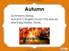 Autumn Haiku Poetry Teaching Resources (slide 4/38)
